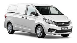 G10 van
